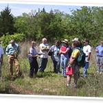 People in a field